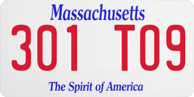 MA license plate 301TO9