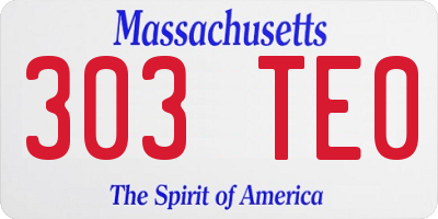 MA license plate 303TE0