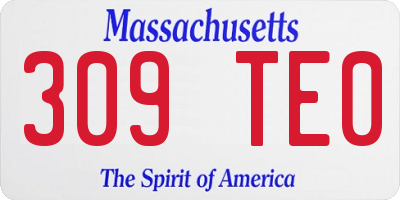 MA license plate 309TE0