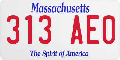 MA license plate 313AE0