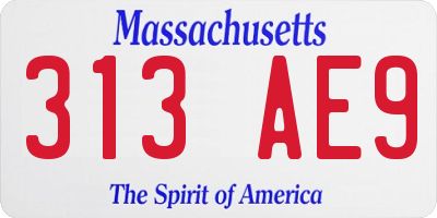 MA license plate 313AE9