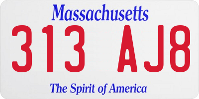 MA license plate 313AJ8