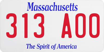 MA license plate 313AO0
