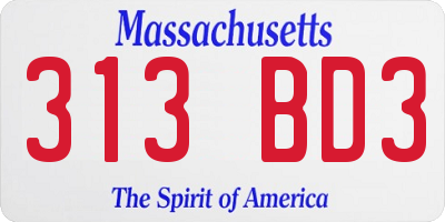 MA license plate 313BD3