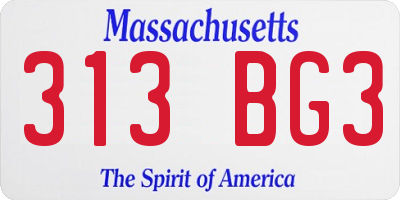 MA license plate 313BG3