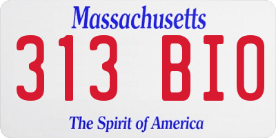MA license plate 313BI0
