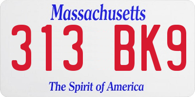 MA license plate 313BK9