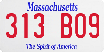MA license plate 313BO9