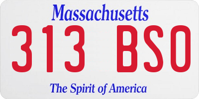 MA license plate 313BS0