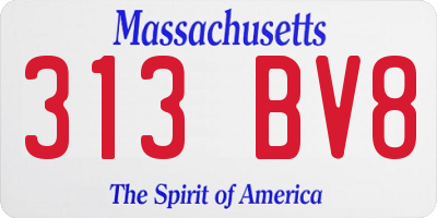 MA license plate 313BV8