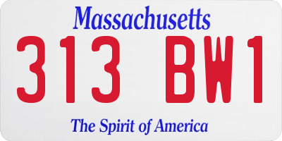 MA license plate 313BW1