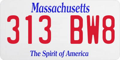 MA license plate 313BW8