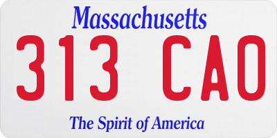MA license plate 313CA0