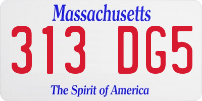 MA license plate 313DG5