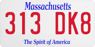 MA license plate 313DK8