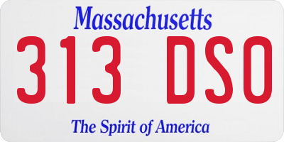 MA license plate 313DS0