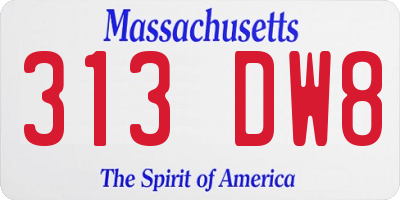 MA license plate 313DW8