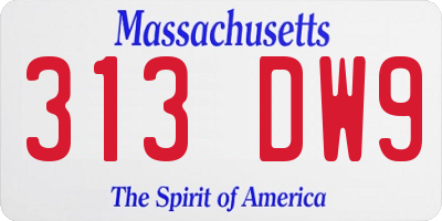 MA license plate 313DW9