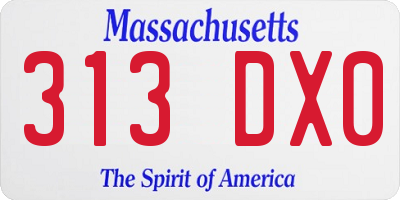MA license plate 313DX0