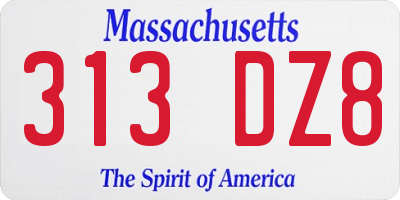 MA license plate 313DZ8