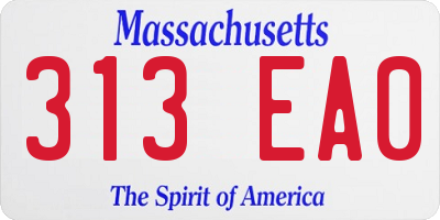 MA license plate 313EA0
