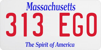 MA license plate 313EG0