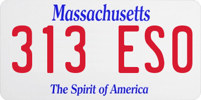 MA license plate 313ES0