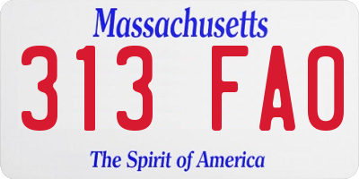 MA license plate 313FA0