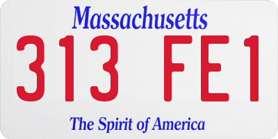MA license plate 313FE1