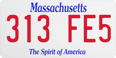 MA license plate 313FE5
