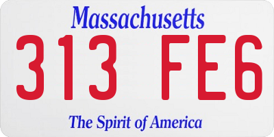 MA license plate 313FE6