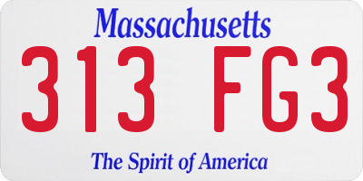 MA license plate 313FG3