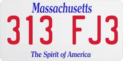 MA license plate 313FJ3
