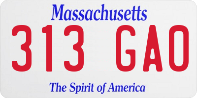 MA license plate 313GA0
