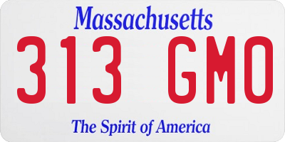 MA license plate 313GM0