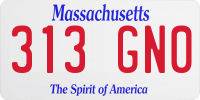 MA license plate 313GN0