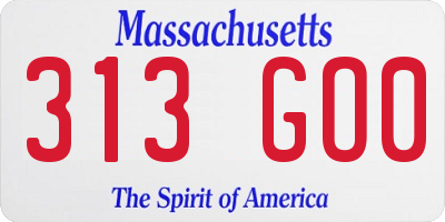 MA license plate 313GO0