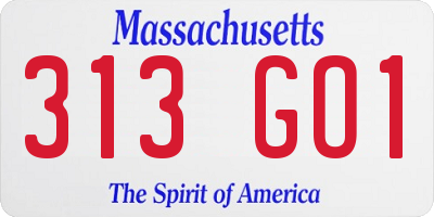 MA license plate 313GO1
