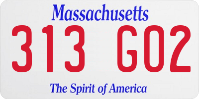 MA license plate 313GO2