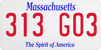 MA license plate 313GO3