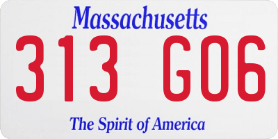 MA license plate 313GO6