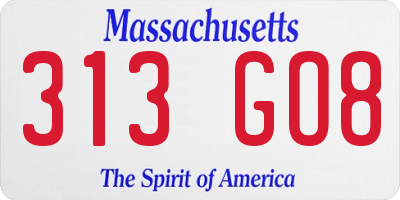 MA license plate 313GO8