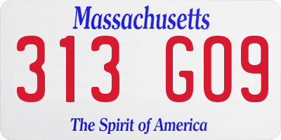 MA license plate 313GO9