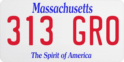 MA license plate 313GR0