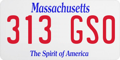 MA license plate 313GS0
