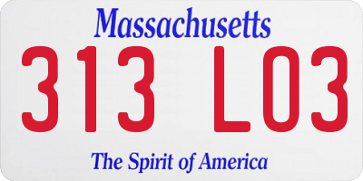 MA license plate 313LO3