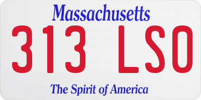 MA license plate 313LS0