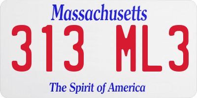 MA license plate 313ML3
