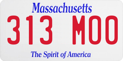MA license plate 313MO0