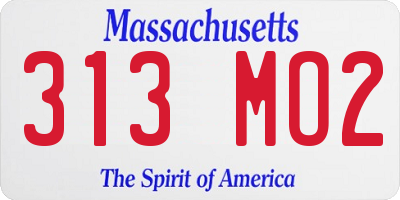 MA license plate 313MO2